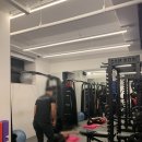 짐나우 퍼스널트레이닝 | 자세교정전문-한남동 퍼스널트레이닝-짐나우-근막이완 근육운동하기-이형진트레이너쌤