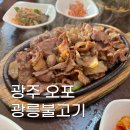 광릉숯불고기 - 용인시 처인구 백옥대로 564 | 광릉불고기 오포점 솔직 후기 | 돼지숯불고기백반 먹다가 추가 주문한 썰