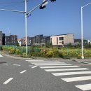 송정드림펜션 이미지