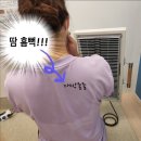 점핑썬 이미지