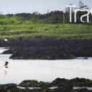 김녕해수욕장 이미지