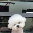 쓰리빈 이미지