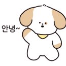 민희헤어 이미지