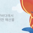 삼삼해물 이미지