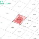 포항시남구15 네이버블로그