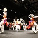 제주 마로 이미지