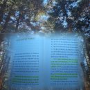 무성기업 | 돈의 속성 책 | 김승호 책 후기 | 인생은 100점이 아니라 80점이 만점입니다 추천 리뷰 핵심 요약