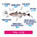 먹태와 호프 이미지