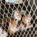 혜원목장 이미지