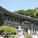 어가해물찜칼국수