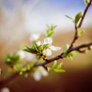 목동서로4길 이미지