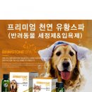 독살롱 다듬 이미지