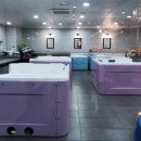 카페595