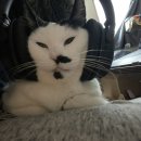 투오씨 이미지