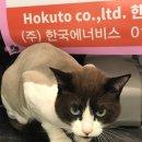 홍금보미용실 이미지