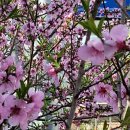 영덕중고등학교 이미지