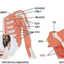 귀 뒤쪽 통증 원인 함께 알아봐요 이미지