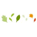 반려식물 다육토분 이미지