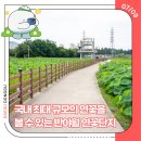 연꽃단지 공중화장실 | 국내 최대 규모의 연꽃을 볼 수 있는 반야월 연꽃단지