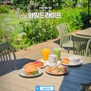와일드베이커스