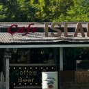 아일랜드코쿤 이미지