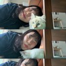 뽀뽀솜 이미지