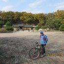 여주-0089 이미지