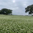 또 와흘 이미지