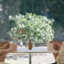 소요소림 이미지