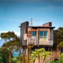 트리하우스 이미지