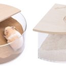 스프링 햄스터 이미지