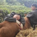 유순농장 이미지