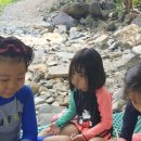 김밥나라 침산점 이미지