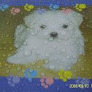 (주)그린오크 이미지