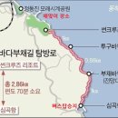 1월1일(수) 무박당일 정동진 해맞이 바다부채길 낭만여행 이미지