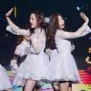 채원 이미지