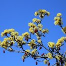 월계(회관)마을회관 이미지