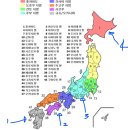 양지까멜리아