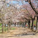 코끼리가든 이미지