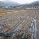 구현농장 이미지