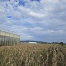 군산시-00052 이미지