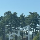 세니의 다락방 | [동해 여행] 망상오토캠핑리조트! 동해바다 뷰 끝판왕 난바다⛺ 예약꿀팁! 캠핑 완전 내돈내산!