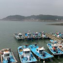 몽산포항 이미지