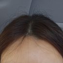 오르아즈 이미지