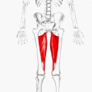 에이플러스짐 후곡학원가점 이미지