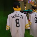 후쿠오카 4 - 소프트뱅크 호크스 vs 사이타마 세이부 라이온즈, 미즈호 페이페이돔, 야나기타 유키...