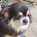 대동병설유치원 이미지