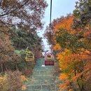 지산3로 | 광주 가을 데이트 지산유원지 모노레일 리프트 후기