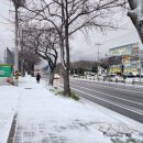 제2산록도로 광평교차로 이미지