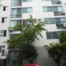 원적로 2 이미지